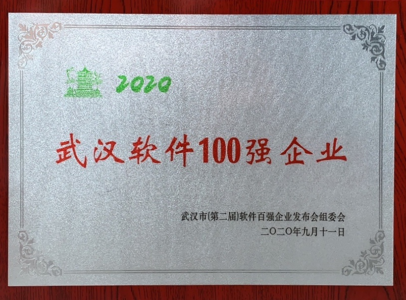 16、2020年武漢軟件100強(qiáng)企業(yè)
