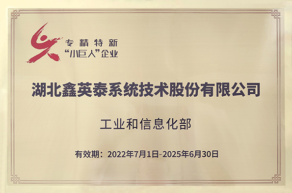 國(guó)家級(jí)專精特新小巨人企業(yè)