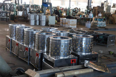 魯寧機械詳情進入(圖)-家禽打毛機怎么使用-家禽打毛機